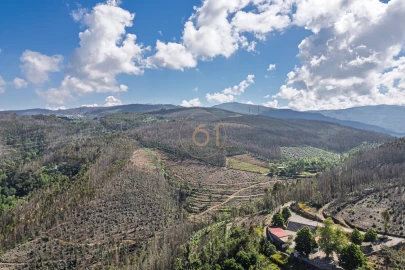 Terreno para Venda em Canelas e Espiunca