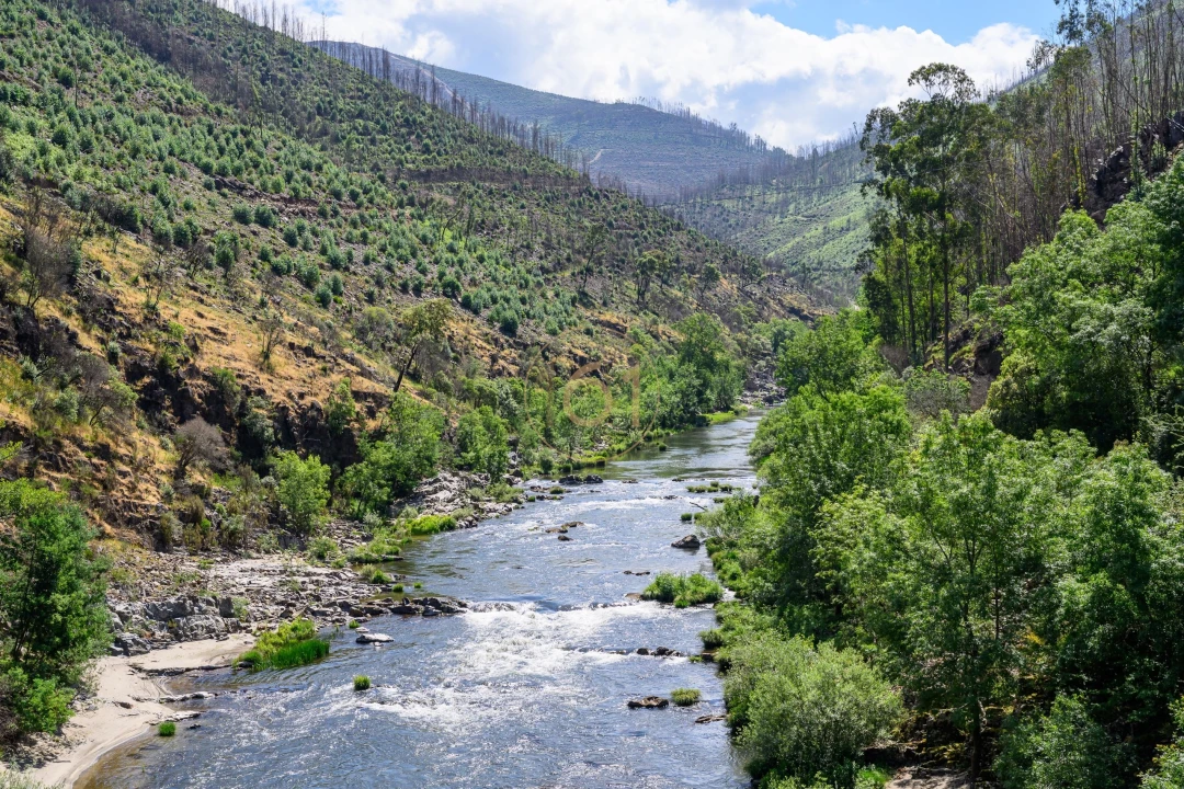 Terreno para Venda em Canelas e Espiunca Foto 21