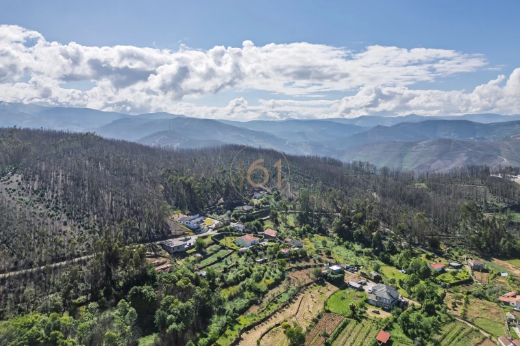 Terreno para Venda em Canelas e Espiunca Foto 9