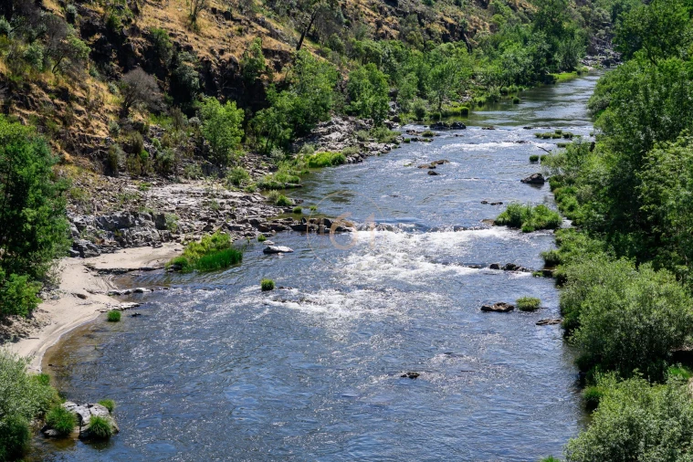 Terreno para Venda em Canelas e Espiunca Foto 22