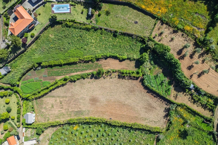 Terreno para Venda em Canelas e Espiunca