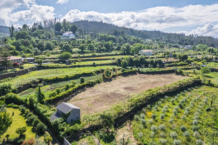 Terreno para Venda em Canelas e Espiunca Foto 2