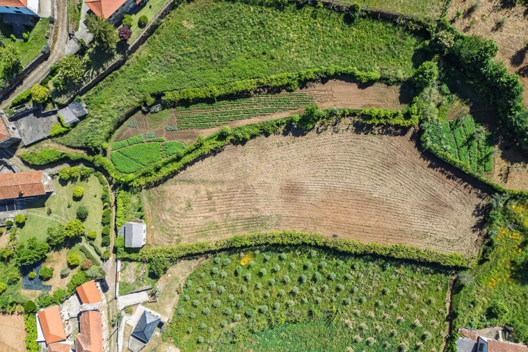 Terreno para Venda em Canelas e Espiunca Foto 4