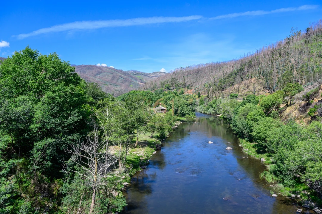 Terreno para Venda em Canelas e Espiunca Foto 19