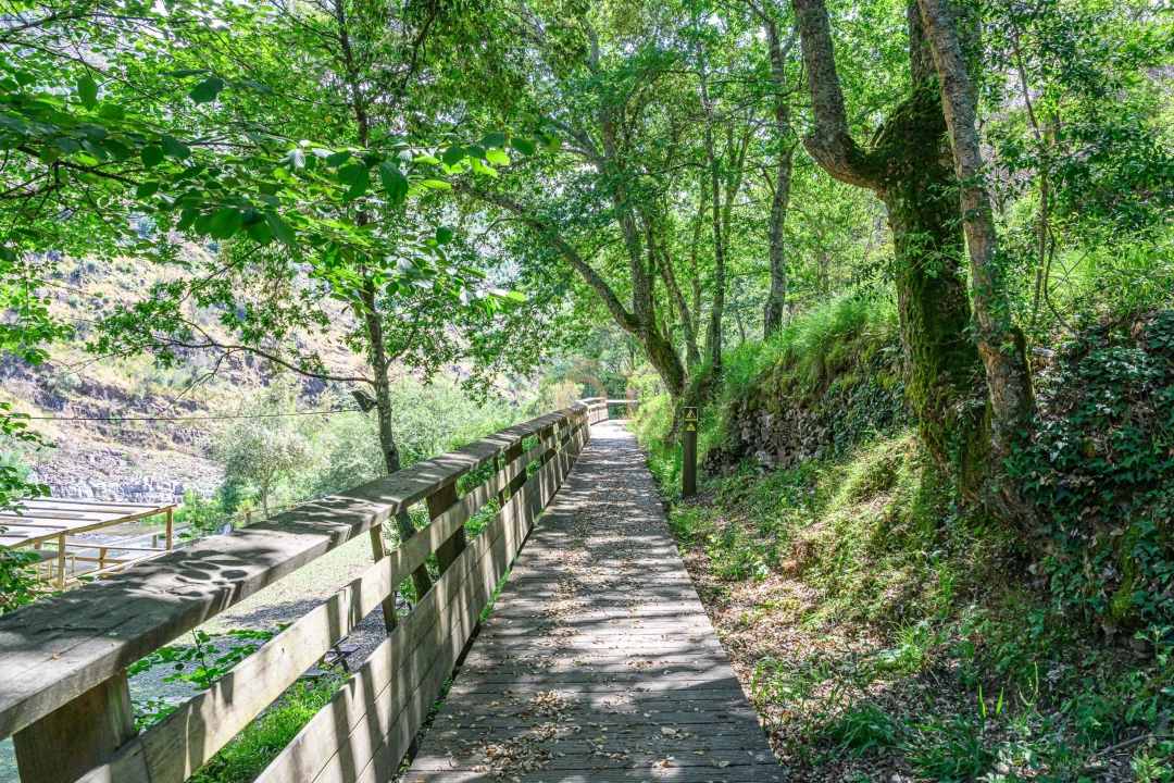 Terreno para Venda em Canelas e Espiunca Foto 16