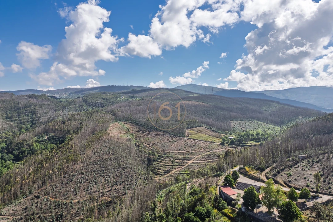 Terreno para Venda em Canelas e Espiunca Foto 8