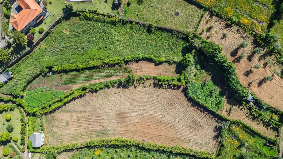 Terreno para Venda em Canelas e Espiunca