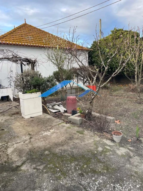 Moradia T3 para Venda em Branca
