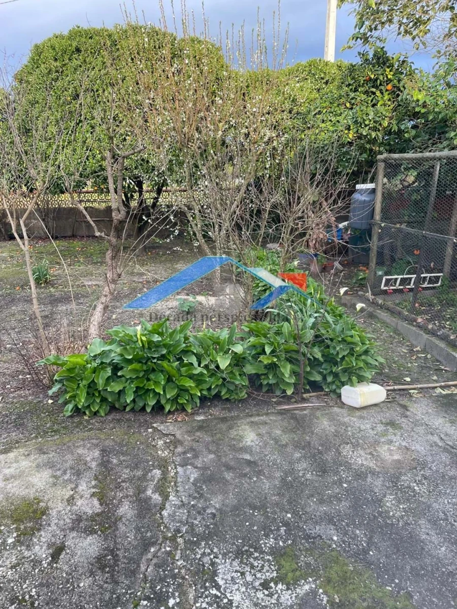 Moradia T3 para Venda em Branca Foto 14