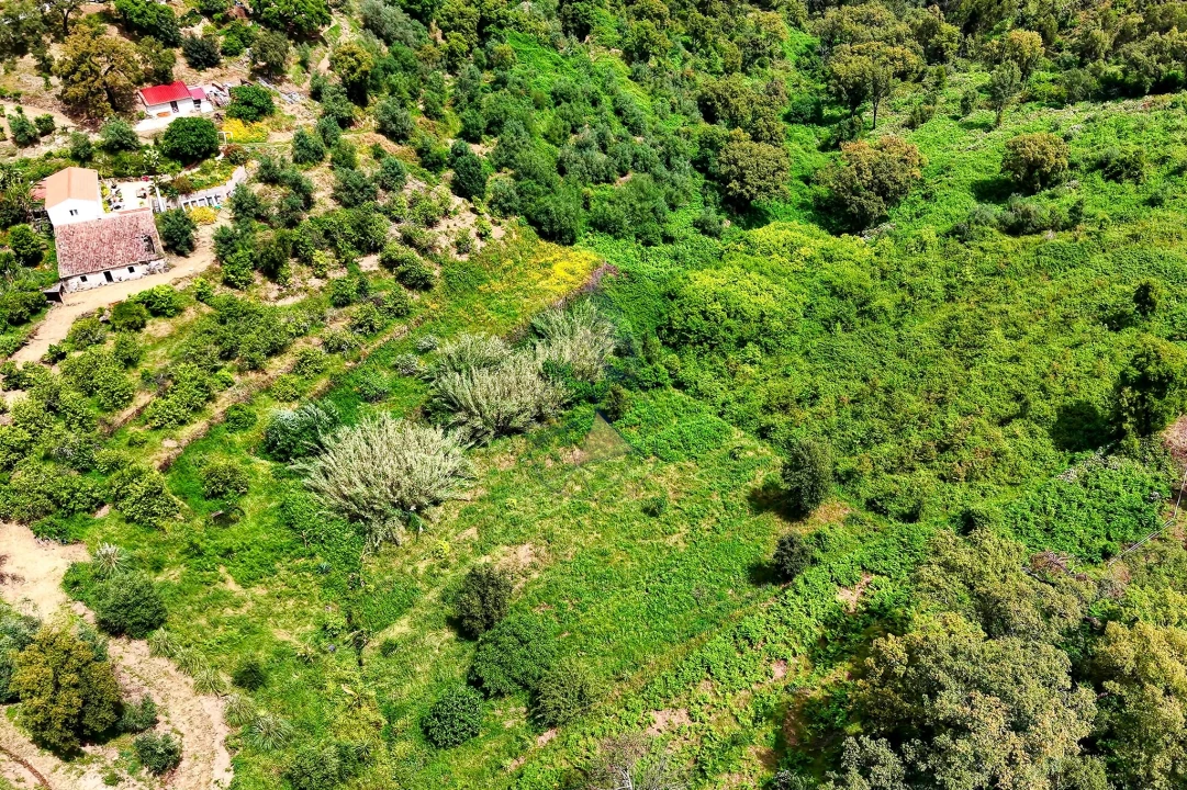 Terreno para Venda em Alferce Foto 15