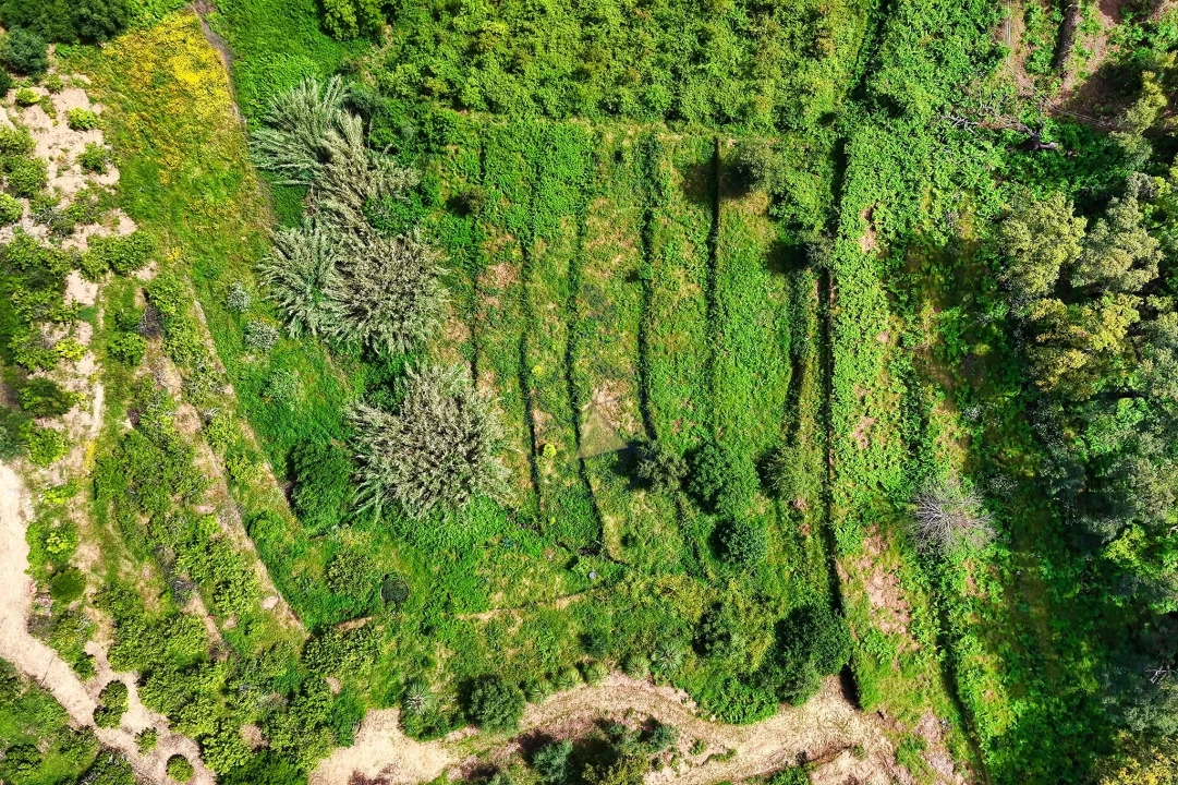 Terreno para Venda em Alferce Foto 16