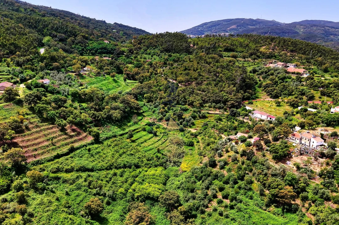 Terreno para Venda em Alferce Foto 19