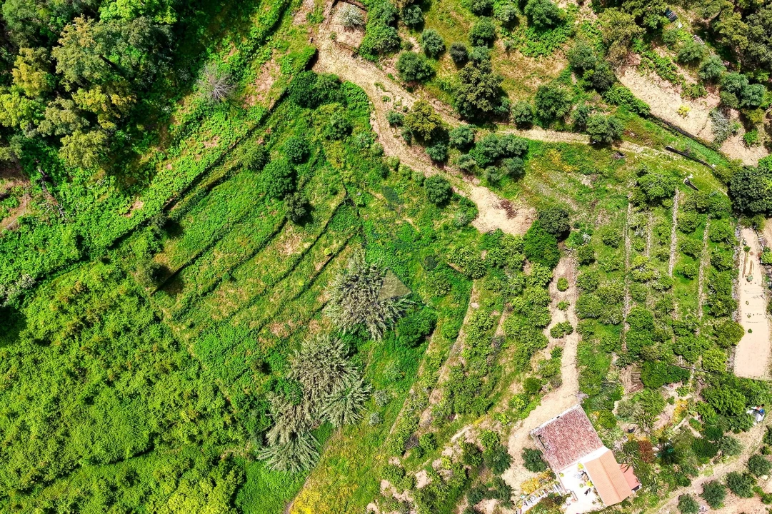 Terreno para Venda em Alferce Foto 17