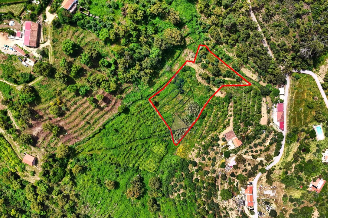 Terreno para Venda em Alferce Foto 2
