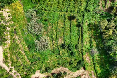 Terreno para Venda em Alferce