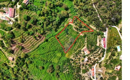 Terreno para Venda em Alferce