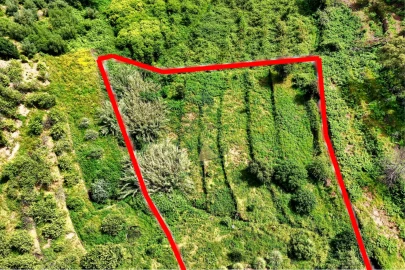 Terreno para Venda em Alferce