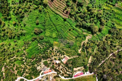 Terreno para Venda em Alferce