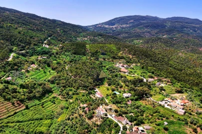 Terreno para Venda em Alferce
