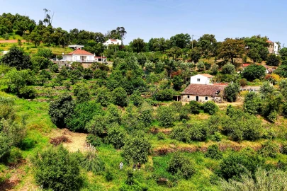 Terreno para Venda em Alferce
