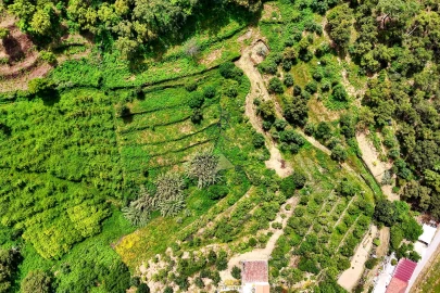 Terreno para Venda em Alferce