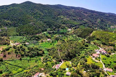 Terreno para Venda em Alferce