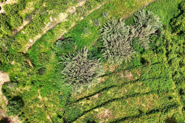 Terreno para Venda em Alferce Foto 12