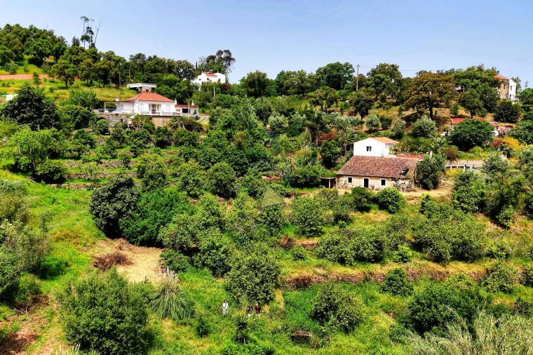 Terreno para Venda em Alferce Foto 13