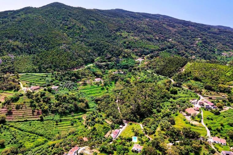 Terreno para Venda em Alferce Foto 4