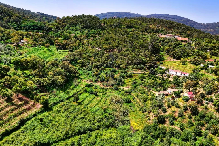 Terreno para Venda em Alferce Foto 6