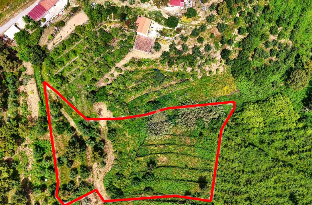 Terreno para Venda em Alferce Foto 1