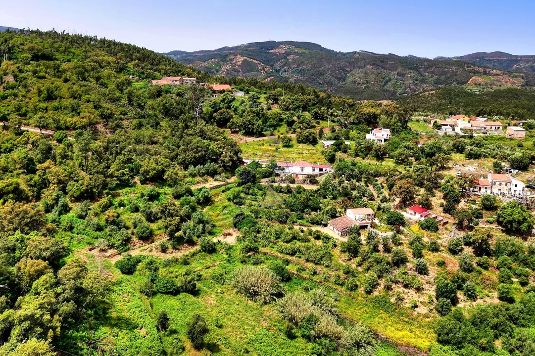 Terreno para Venda em Alferce Foto 20