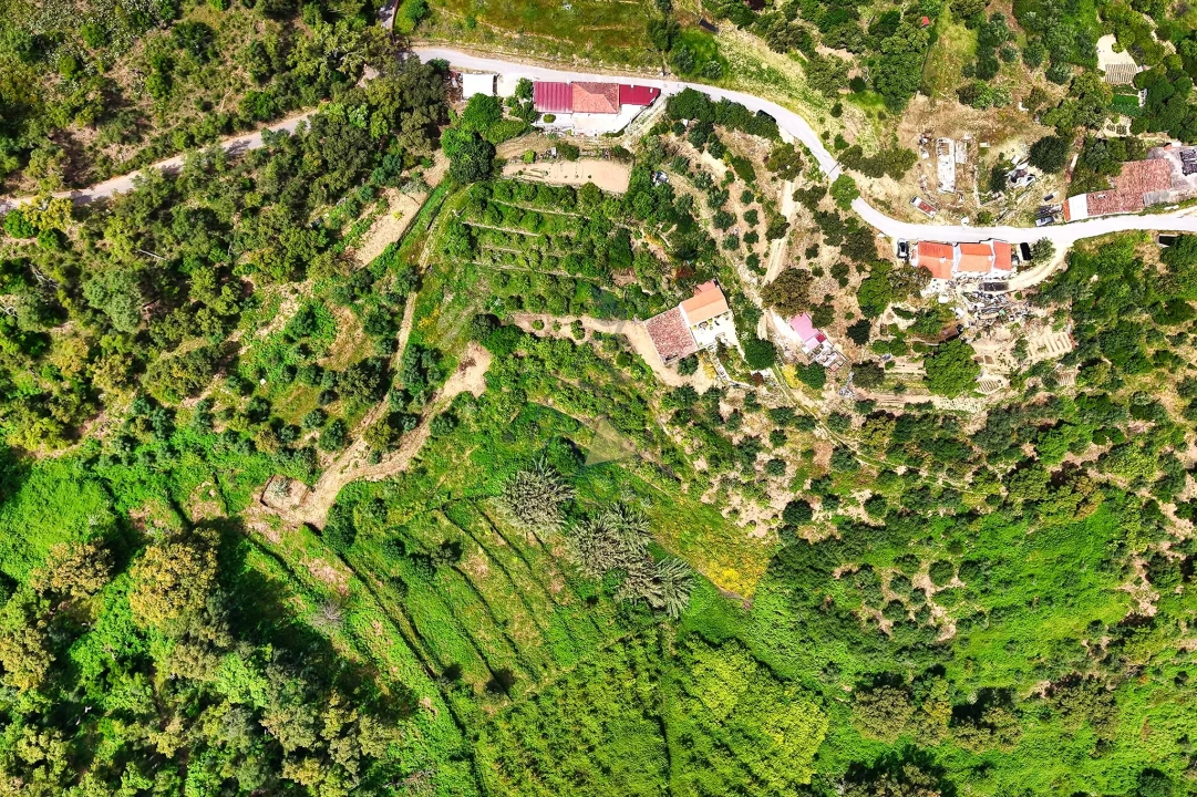 Terreno para Venda em Alferce Foto 5
