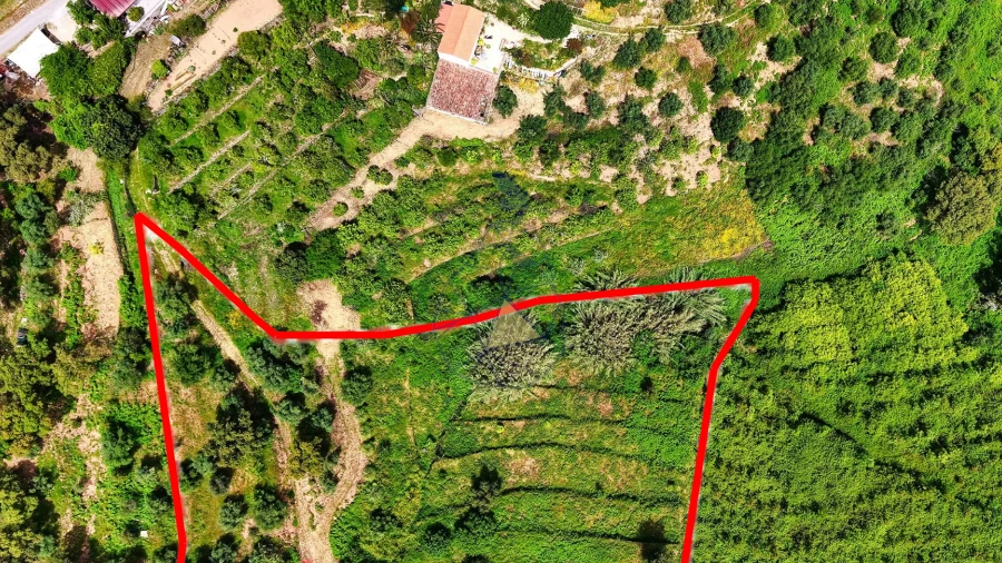 Terreno para Venda em Alferce