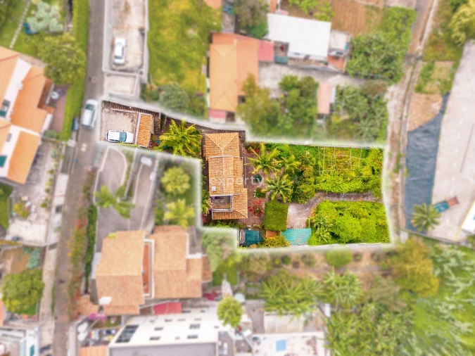 Moradia T3 para Venda em São Martinho Foto 3