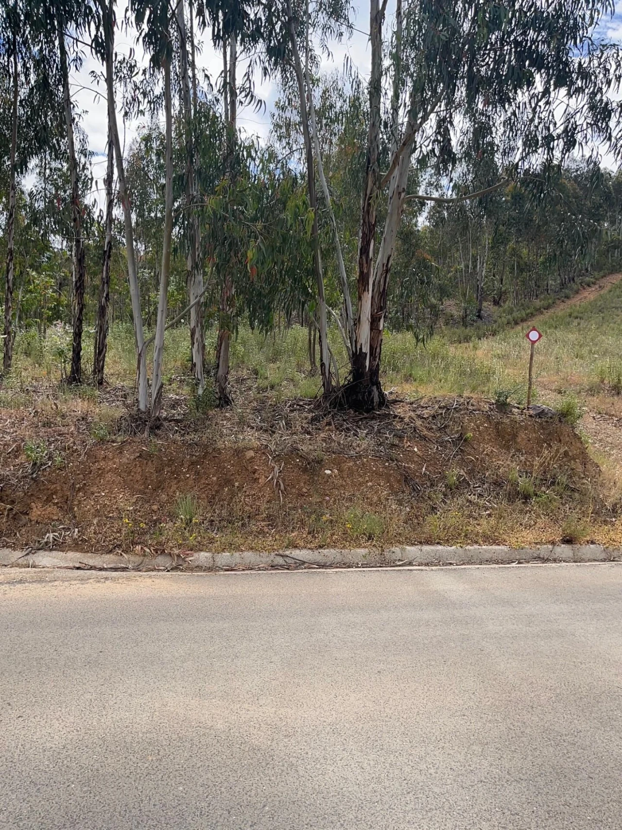 Terreno para Venda em Mexilhoeira Grande Foto 37