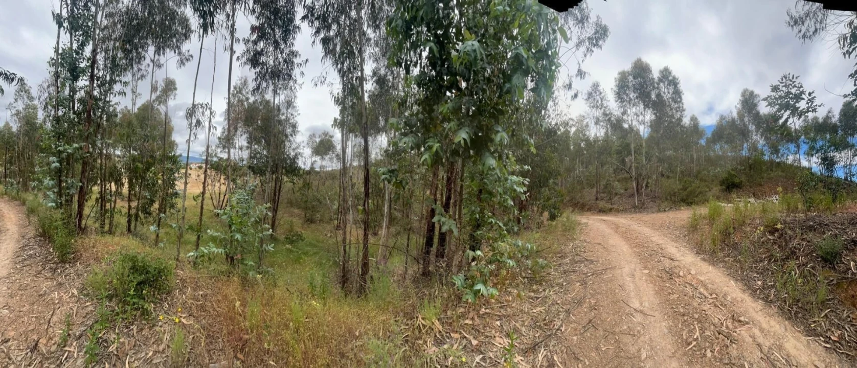 Terreno para Venda em Mexilhoeira Grande Foto 30