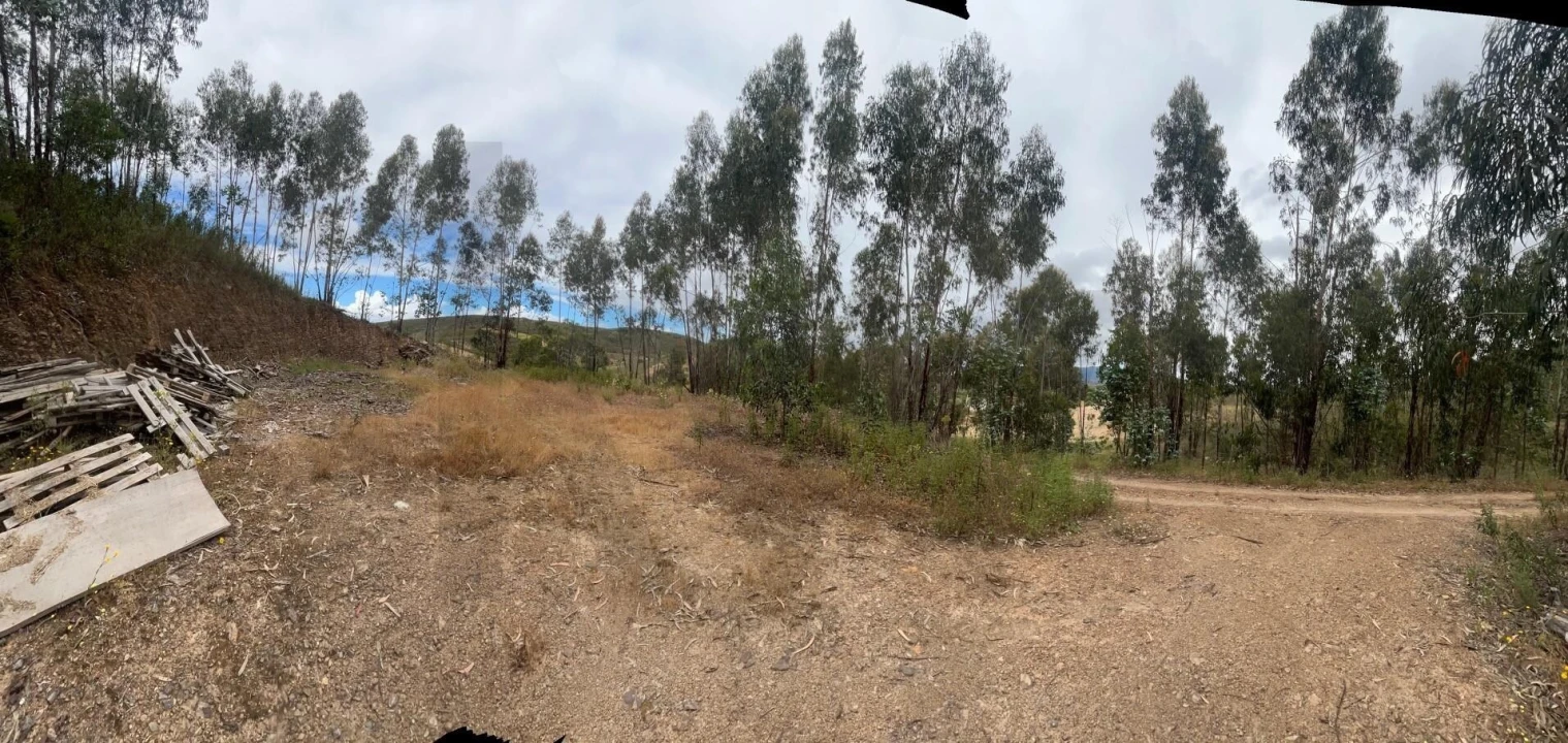 Terreno para Venda em Mexilhoeira Grande Foto 31