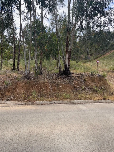 Terreno para Venda em Mexilhoeira Grande