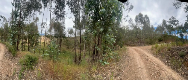 Terreno para Venda em Mexilhoeira Grande