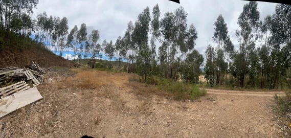 Terreno para Venda em Mexilhoeira Grande