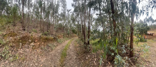 Terreno para Venda em Mexilhoeira Grande