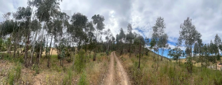 Terreno para Venda em Mexilhoeira Grande
