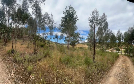 Terreno para Venda em Mexilhoeira Grande