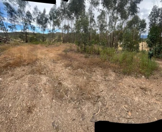 Terreno para Venda em Mexilhoeira Grande