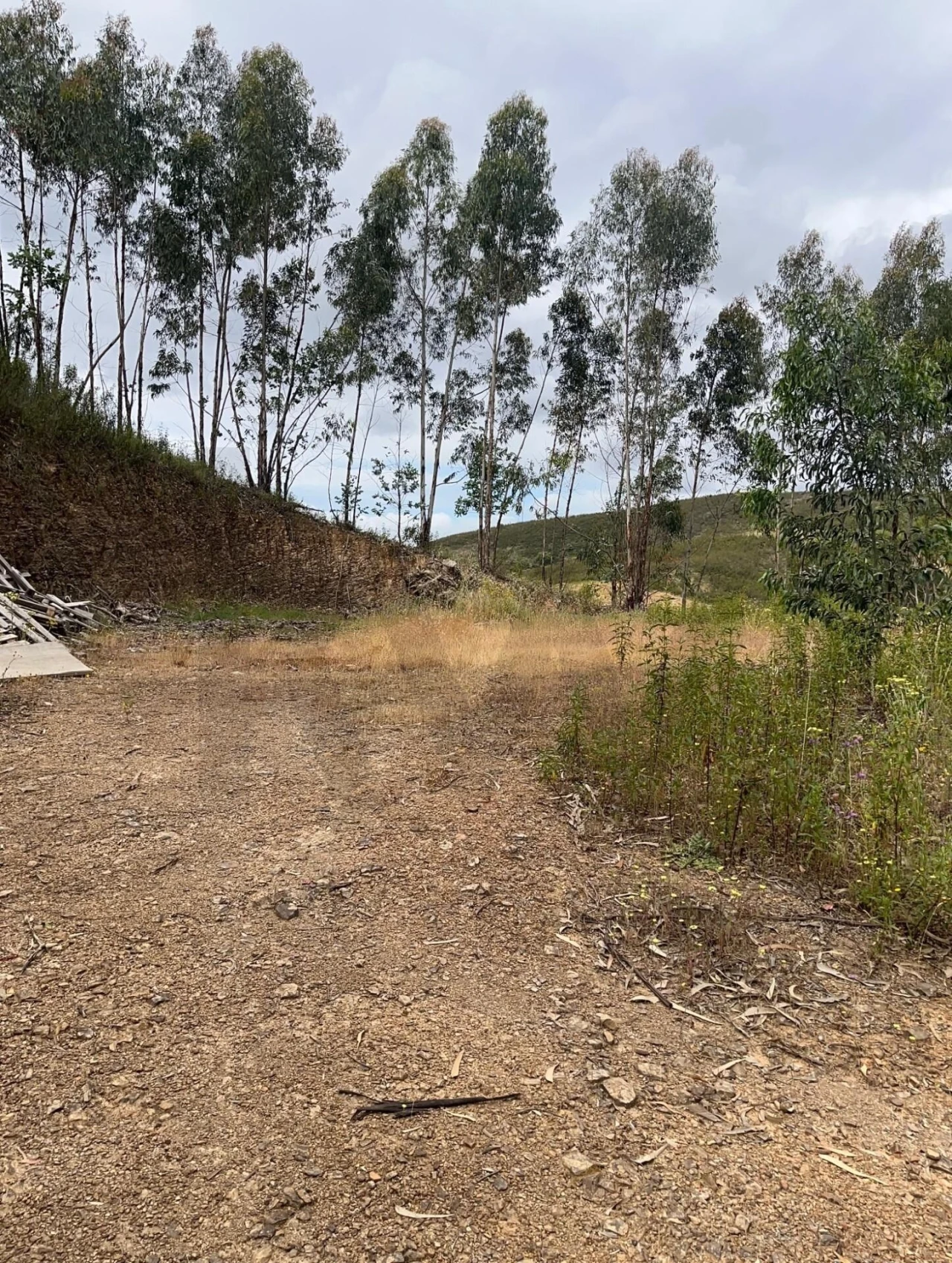 Terreno para Venda em Mexilhoeira Grande Foto 4