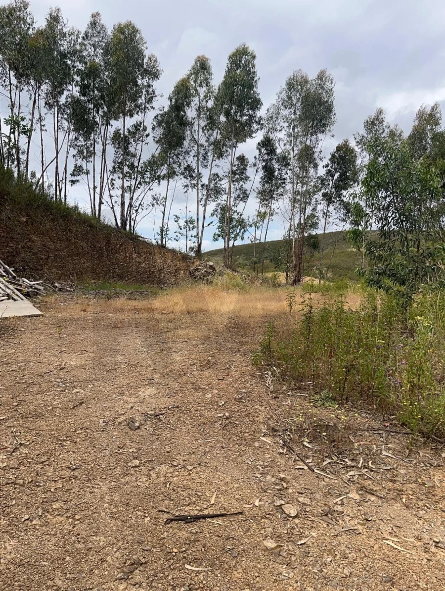 Terreno para Venda em Mexilhoeira Grande Foto 4