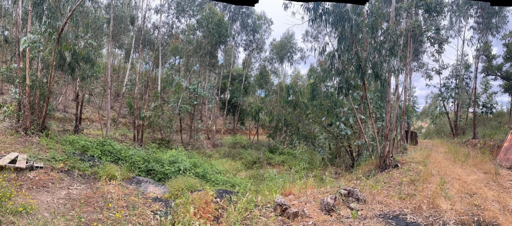 Terreno para Venda em Mexilhoeira Grande Foto 8