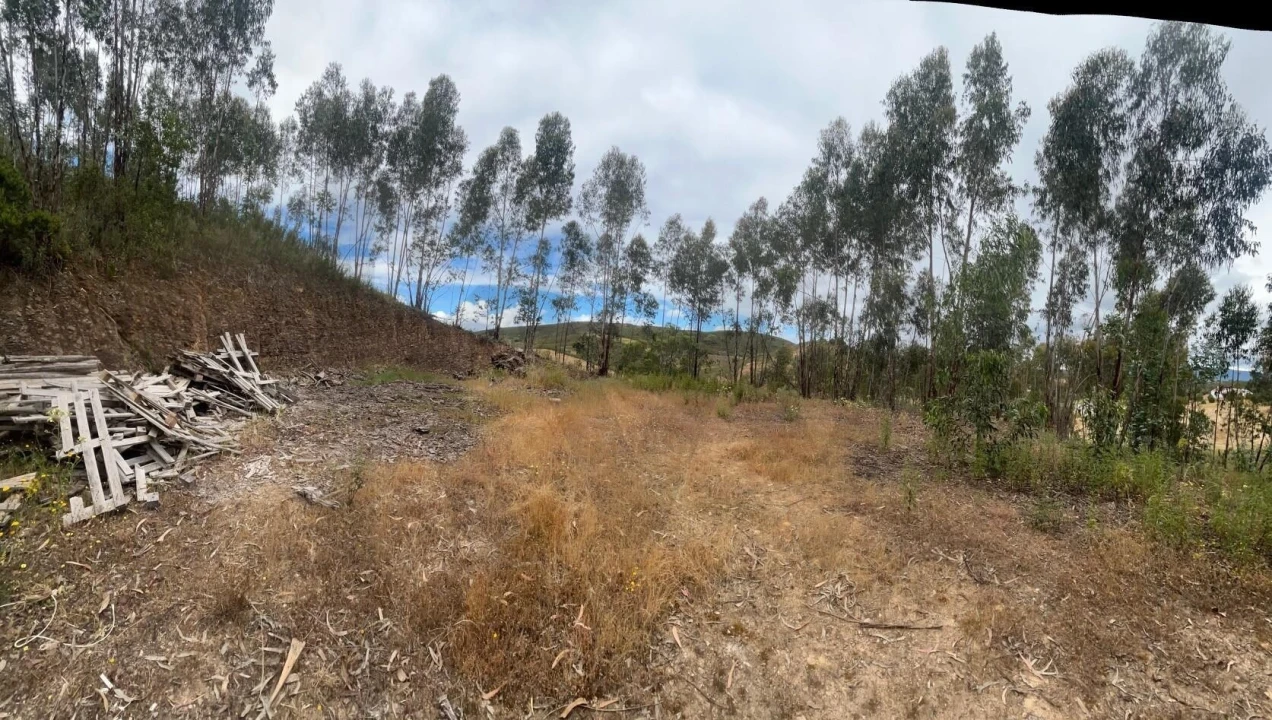 Terreno para Venda em Mexilhoeira Grande Foto 32