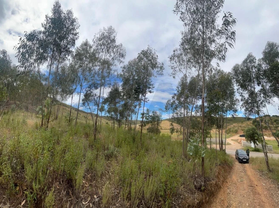 Terreno para Venda em Mexilhoeira Grande Foto 19